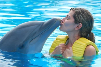 Wellness And Snack Trips